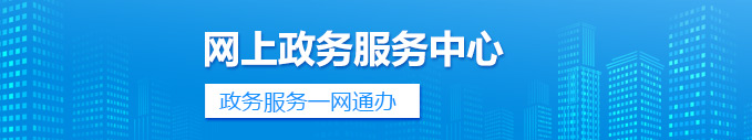 网上政务服务