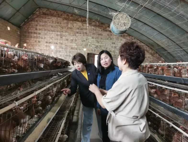 微信图片_20250414104546.png