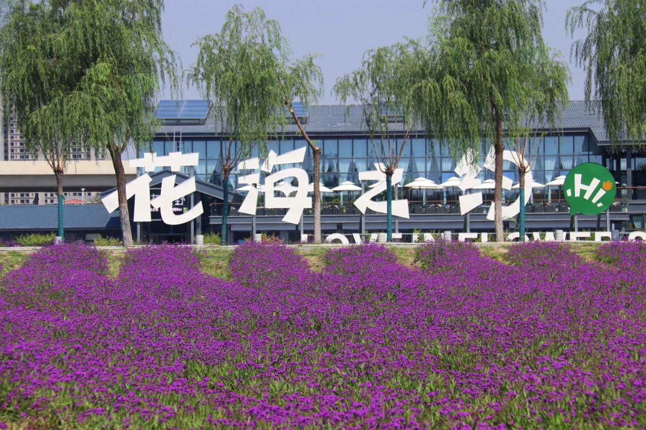 微信图片_20240812102012.jpg