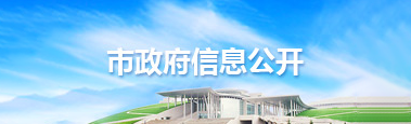 市政府信息公开