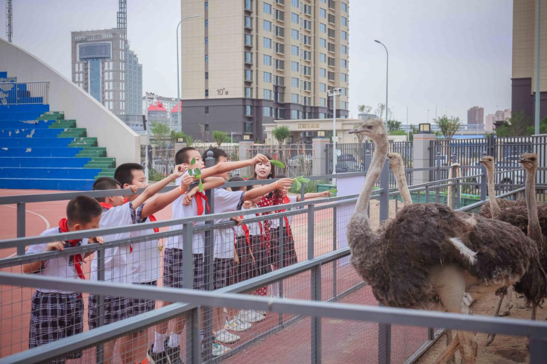 微信图片_20230704095705.png