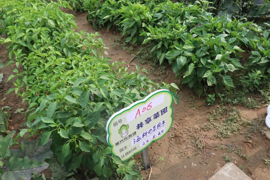 微信图片_20220819113126.jpg
