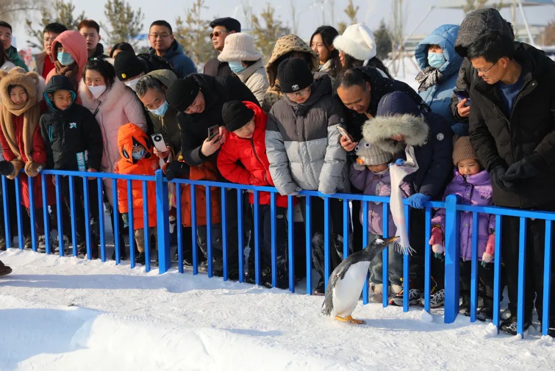 微信图片_20240201102518.jpg